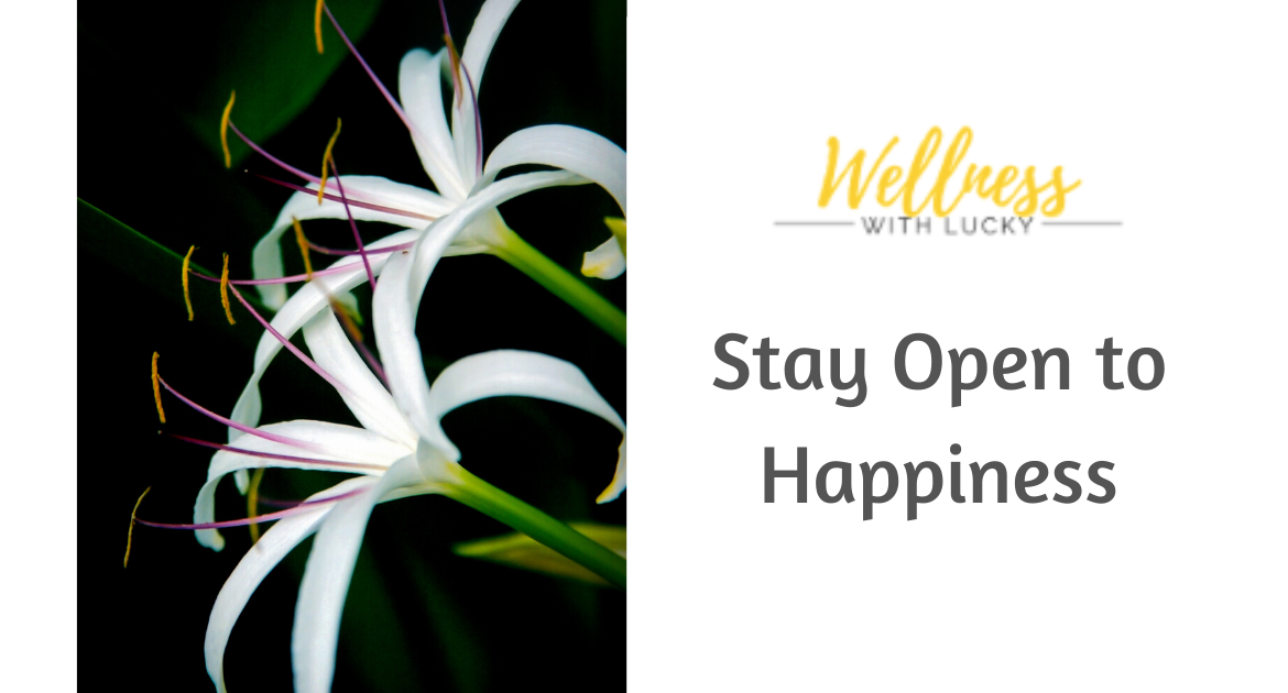 Stay Open to Happiness